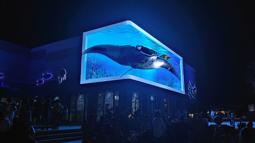 Aquarium of Veracruz — Format
