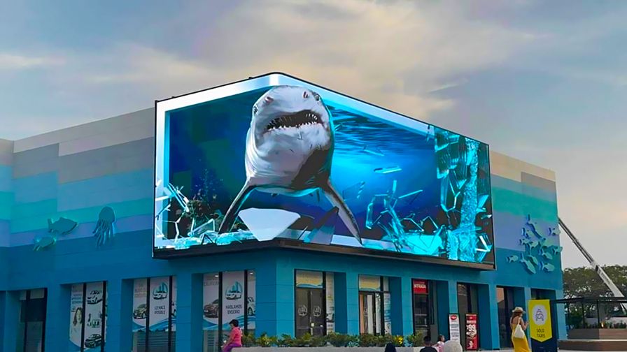 Aquarium of Veracruz — Illusion