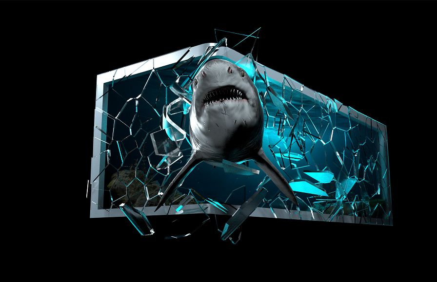 Aquarium of Veracruz — Anamorphic LED Attraction
