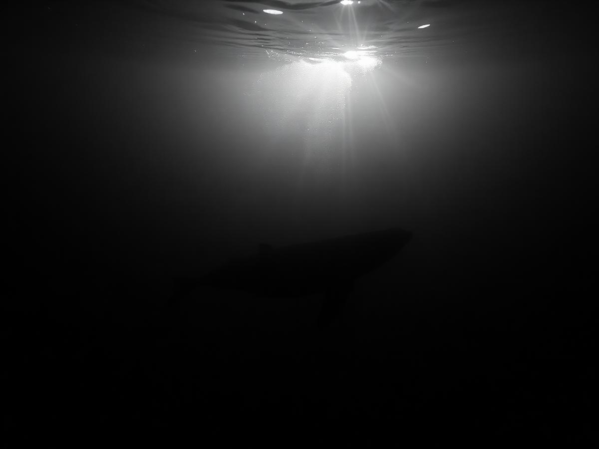 Deep Origins — early study